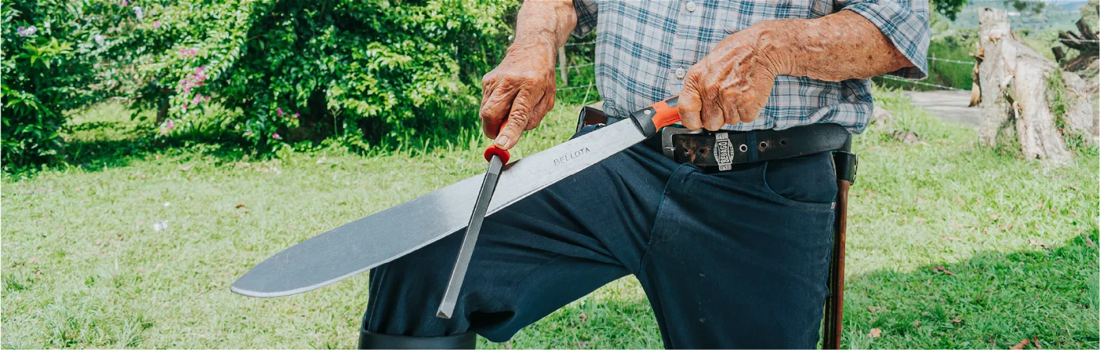 Machete precio Colombia, lo que necesitas saber