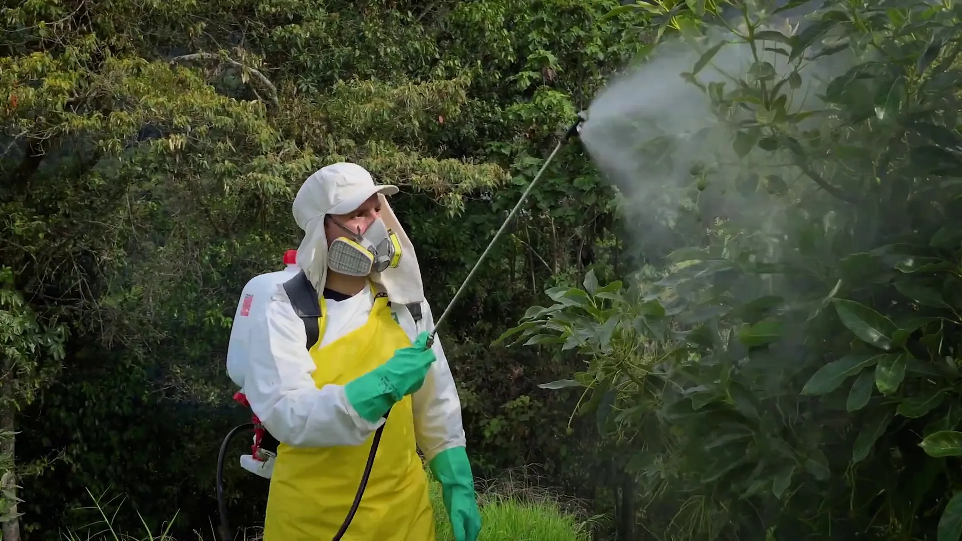 fumigadora manual, su importancia y uso en la agricultura