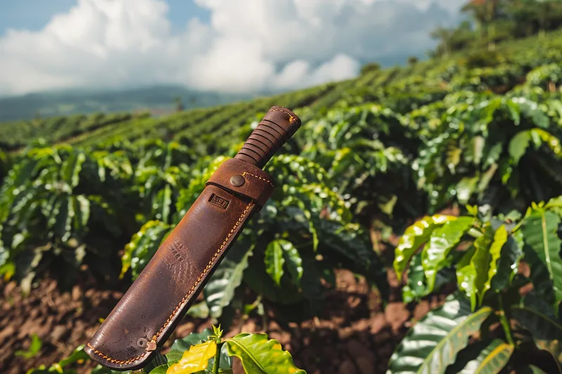 funda para machete de 20 pulgadas: indispensable en la agricultura