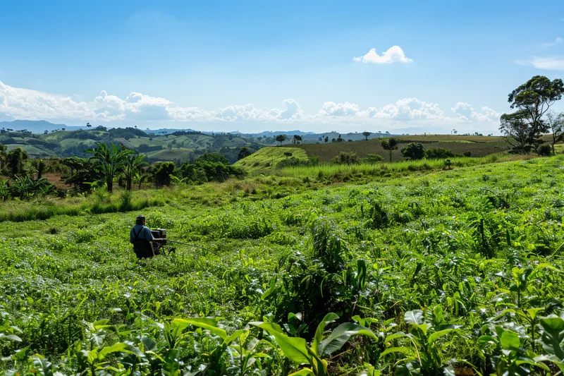 hilo acero desbrozadora: una innovación en el campo