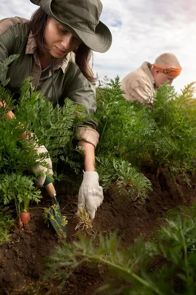 7 vegetales que solo plantarás una vez y cosecharás años, descubre cuáles son