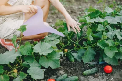 7 Vegetales Que Solo Plantaras Una Vez Y Cosecharas Anos