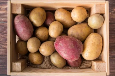 9 Formas Diferentes Donde Cultivar Patatas