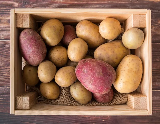 9 Formas Diferentes Donde Cultivar Patatas