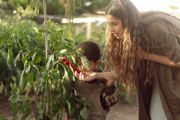 Chirivia. Que Es Y Que Necesitas Saber Para Su Cultivo En El Huerto