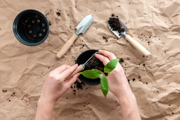 Como Enraizar Esquejes De Plantas Facilmente Utilizando Arena Como Sustrato