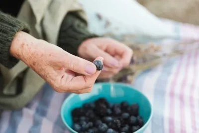 Como Plantar Arandanos En El Huerto