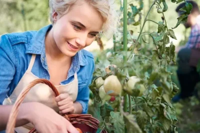 Como Plantar Kiwis En El Huerto O Jardin