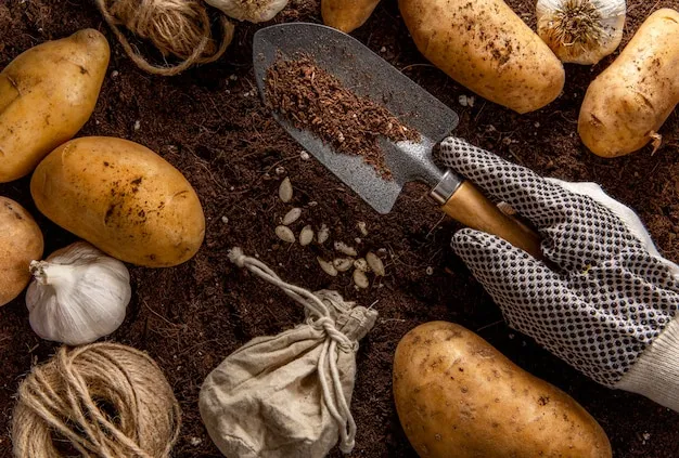 Como Sembrar Patatas O Papas En El Huerto