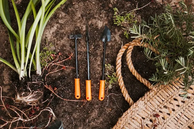 como sembrar zanahorias en el huerto, todo lo que necesitas saber