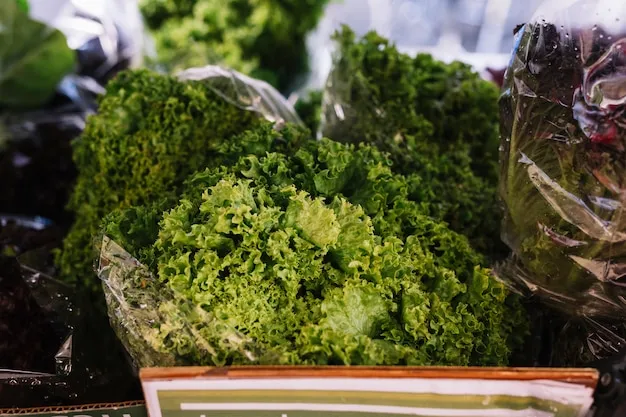 cómo y cuándo cosechar kale en el huerto para aprovechar su mejor sabor