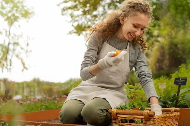 Como Y Cuando Plantar Brocoli En El Huerto