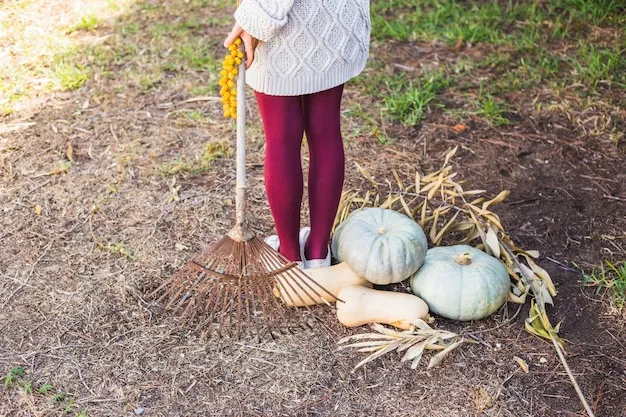 cómo y cuándo plantar calabazas en el huerto, consejos y trucos útiles