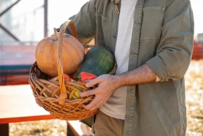 Como Y Cuando Plantar Calabazas En El Huerto – Consejos Y Trucos