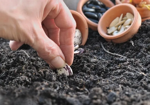 cómo y por qué plantar consuelda rusa en el huerto, un fertilizante infinito de potasio