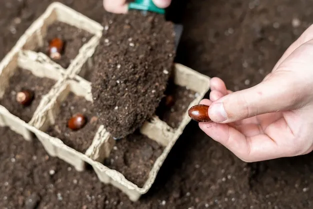 cómo y por qué plantar consuelda rusa en el huerto, un fertilizante infinito de potasio