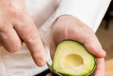 Germinar aguacate o palta. Como hacerlo y cuanto tarda