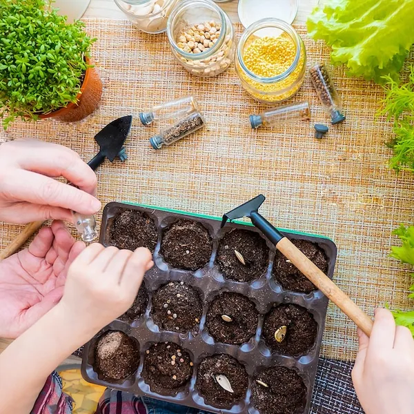 huerta para principiantes, cómo empezar a plantar con 11 consejos prácticos