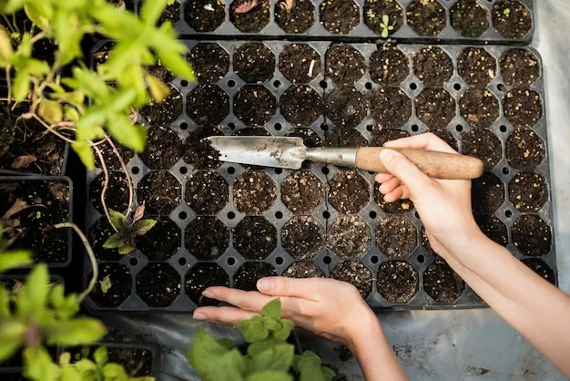 Huerto en macetas. Tamano Y Profundidad Para Cultivar En El Huerto Urbano