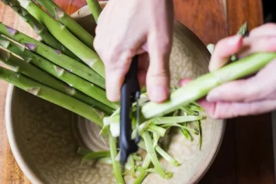 Plantar Esparragos. Guia Completa para Cultivar en El Huerto