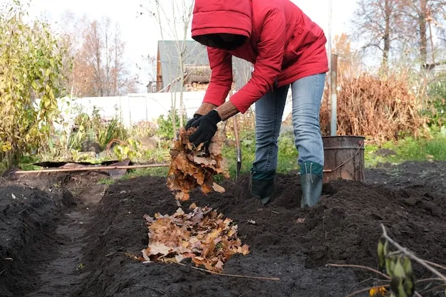 preparar el huerto para el otoño, consejos prácticos para agricultores