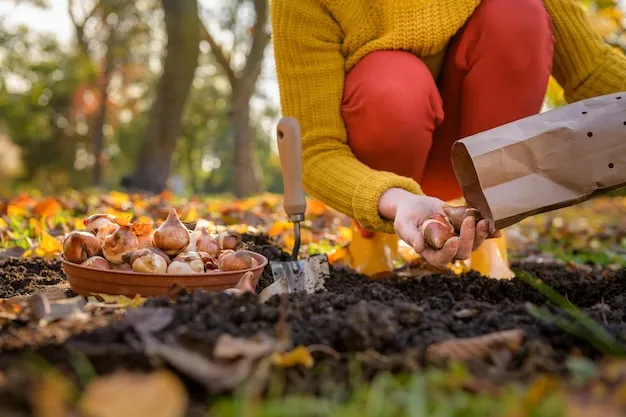 preparar el huerto para el otoño, consejos prácticos para agricultores