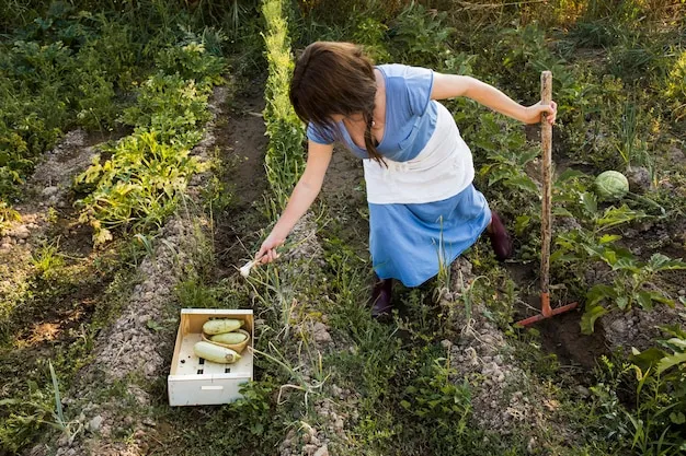 qué plantar en abril en el huerto, tips para ambos hemisferios