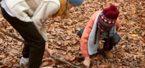 Que Se Puede Plantar En Octubre. Cultivos De Este Mes De La Siembra A La Cosecha