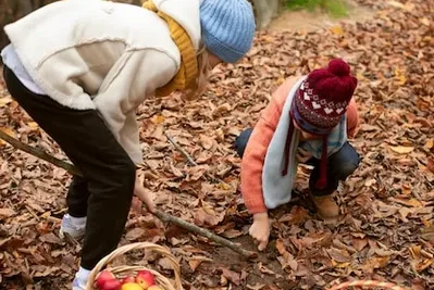 Que Se Puede Plantar En Octubre. Cultivos De Este Mes De La Siembra A La Cosecha