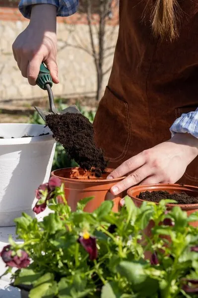 Que Se Puede Plantar En Septiembre Y Sembrar En Este Mes En El Huerto