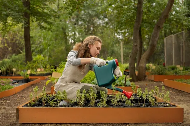 Que Sembrar Y Plantar A Finales De Invierno O Primavera