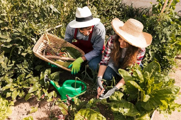 qué sembrar y qué plantar en febrero para aprovechar tu huerto en colombia