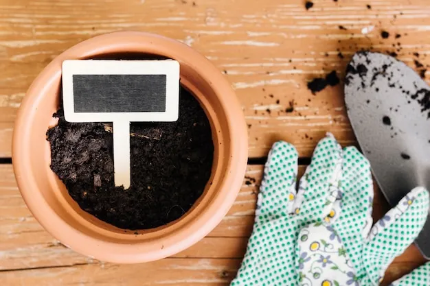 qué sembrar y qué plantar en marzo en el huerto, consejos útiles para aprovechar tu espacio