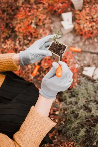 qué sembrar y qué plantar en otoño para lograr las mejores cosechas