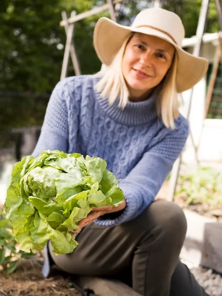 Sembrar Y Plantar Lechuga En El Huerto Guia De Cultivo